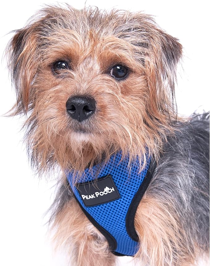 Step in- Dog Harness for Small Dogs No-Pull - Step Instep in Dog Harness - Padded Mesh Fabric Dog Vest - Adjustable Belly Belt & Quick-Snap Clip - Chocolate - 15 in - Extra Large Dog Harness