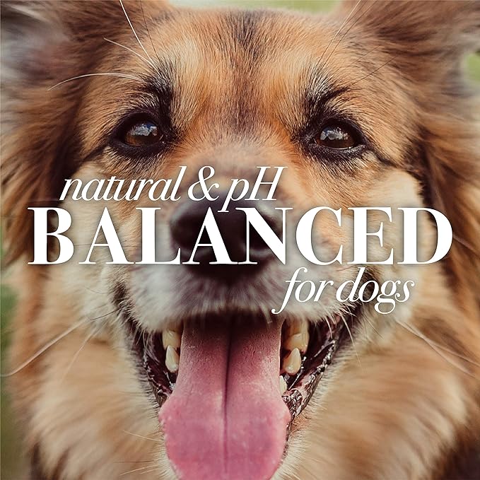 Burt's Bees for Dogs Natural Oatmeal Dog Shampoo | With Colloidal Oat Flour & Honey | Cruelty Free, Sulfate & Paraben Free, pH Balanced for Dogs - Made in USA, 16 Oz - Pack of 6