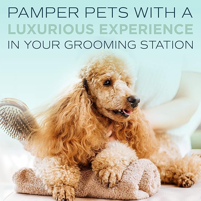 TropiClean SPA Lavish Dog Shampoo | Fresh Scented Deodorizing Dog Shampoo | Naturally Derived Salon Grade Ingredients | Made in the USA | 1 Gallon