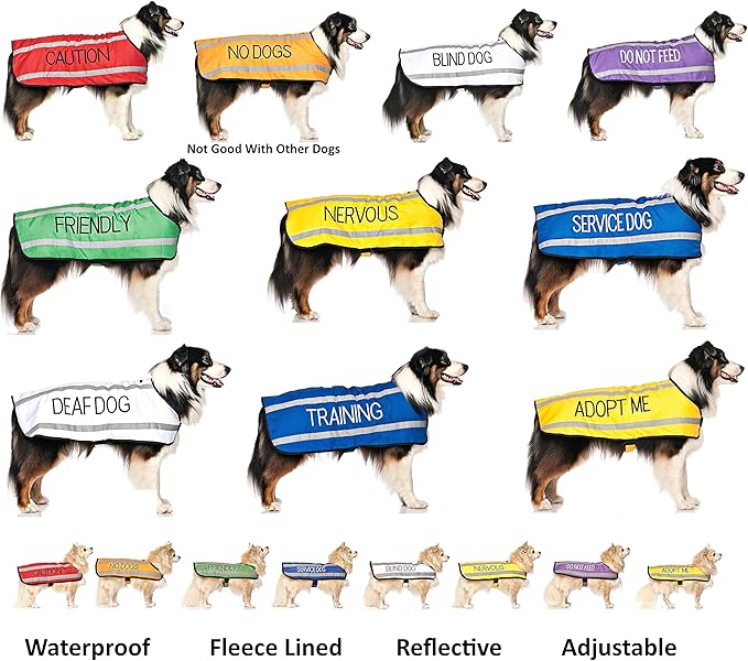 Friendly (Known as Friendly to All) Green Colour Coded Non-Pull Front and Back D Ring Padded and Waterproof Vest Dog Harness Prevents Accidents by Warning Others of Your Dog in Advance (XS)