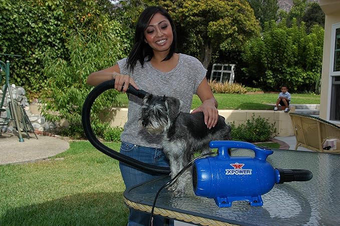 XPOWER B-27 Powerful, Professional Pet Grooming Force Dryer with Dual Motors, Variable Speed Control