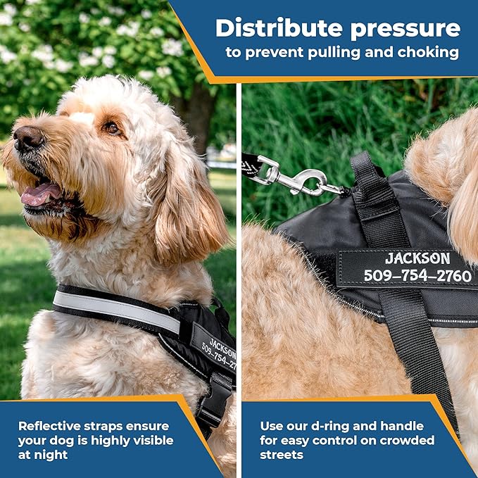 GoTags No-Pull Dog Harness with Custom Name and Phone Number, Personalized for Large, Medium and Small Dogs, Service Vest No Tugging, Pulling, or Choking for Training (Black, XL)