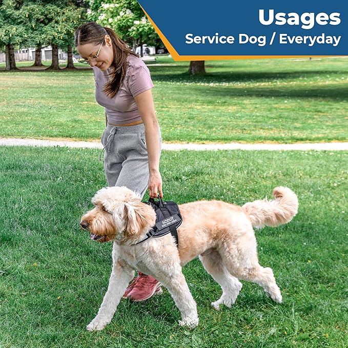 GoTags No-Pull Dog Harness with Custom Name and Phone Number, Personalized for Large, Medium and Small Dogs, Service Vest No Tugging, Pulling, or Choking for Training (Black, XL)