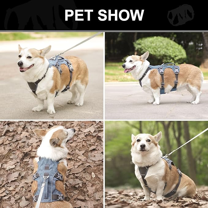 Dog Harness Medium Sized Dog Escape Proof Dog Harness with Handle, Reflective Dog Vest, Breathable Soft Full Body Pet Harness for Walking, Training (Blue, M)