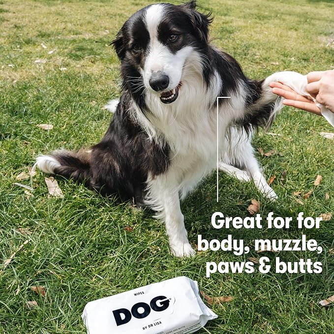 DOG by Dr. Lisa - Dog Wipes - Plant-Based, Natural Bathing Wipes for Dogs - Made from 100% Compostable Bamboo - Vet-Created - Vegan, Non-Toxic - 960 Count