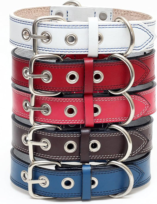Premium Leather Collars with Stainless Steel Buckles (15"-18", White)
