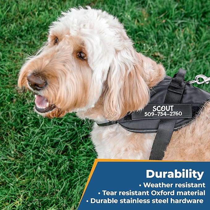 GoTags No-Pull Dog Harness with Custom Name and Phone Number, Personalized for Large, Medium and Small Dogs, Service Vest No Tugging, Pulling, or Choking for Training (Black, XL)