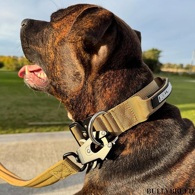 BULLYBREED Premium Dog Colar with Handle, Heavy Duty Dog Collar, Tactical Dog Collar, Quick-Release Metal Buckle, Thick Dog Collar, Dog Collar for Medium Dogs, Dog Collar for Large Dogs (Tan, M)