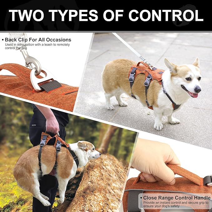 Dog Harness Medium Sized Dog Escape Proof Dog Harness with Handle, Reflective Dog Vest, Breathable Soft Full Body Pet Harness for Walking, Training (Orange, M)