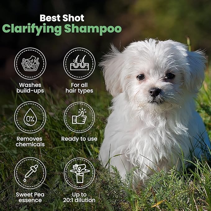 Best Shot UltraMAX Pro Clarifying Treatment, 17 oz