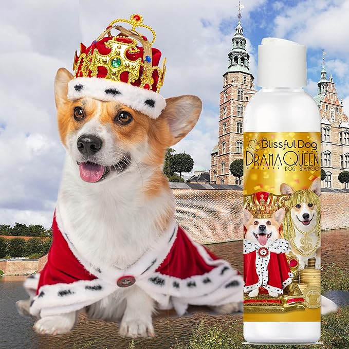 The Blissful Dog Corgi Drama Queen Dog Shampoo, 8 oz.