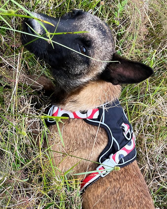 Petank Dog Harness for Small Dogs, Dog Harness with Handle, Large Dog Harness, Puppia Dog Harness, Dog Vest Harness, Dog Harness No Pull, Puppy Harness, Black Dog Harness. (Black, L)