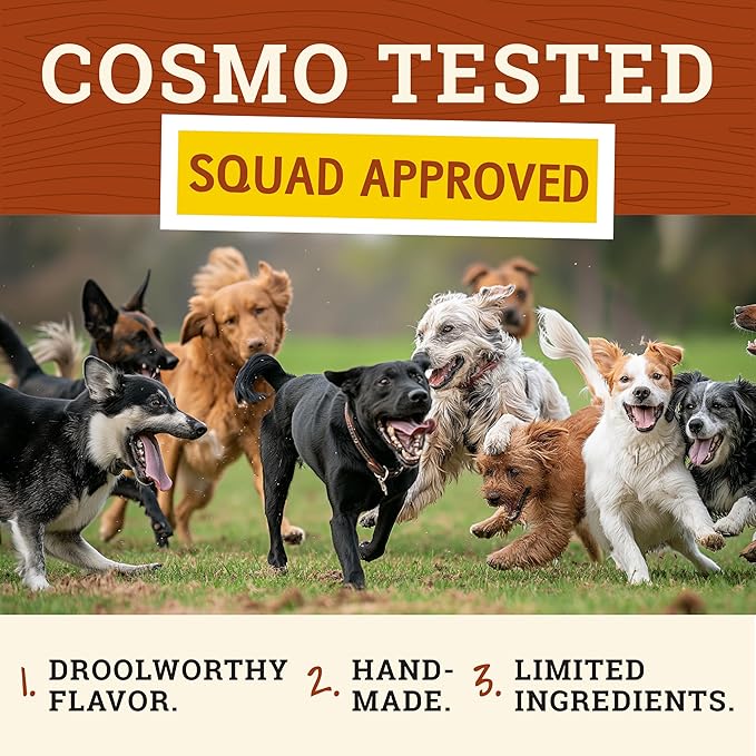 Cosmo's Snack Shack Peanut Butter Bakery Bone - All Natural Dog Treat - Made in USA (24 Count Pack of 1)