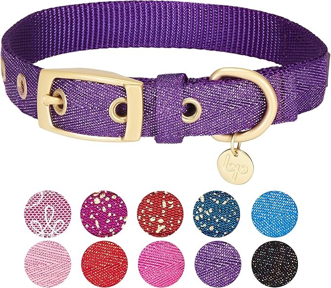 Blueberry Pet 6 Colors The Most Coveted Designer Mixed Metallic Thread Adjustable Dog Collar in Dazzling Tinsel Purple with Metal Buckle, Neck 13-16.5", for Medium Breed