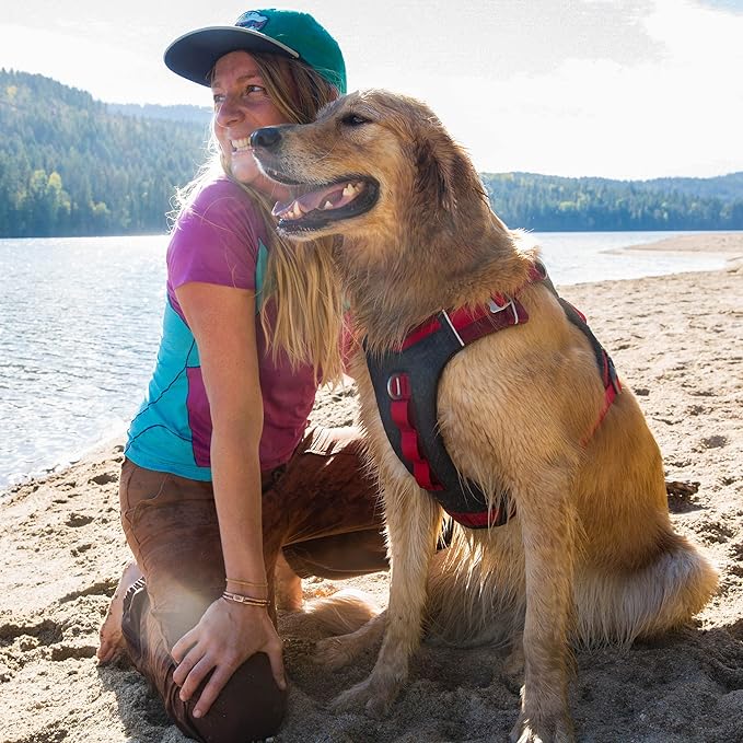 Kurgo K01937 Dog Harness for Large, Medium, & Small Active Dogs, Pet Hiking Harness for Running & Walking, Everyday Harnesses for Pets, Reflective, Journey Air, Red/Grey 2018, X-Small