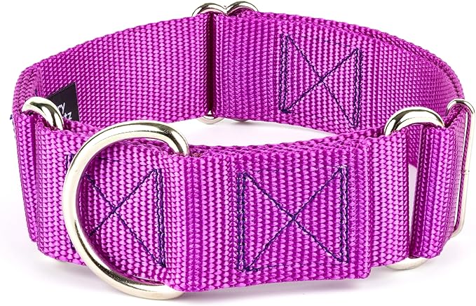 Country Brook Petz - Vibrant 18 Color Selection - 1 1/2 Inch Martingale Heavyduty Nylon Dog Collar (Extra Large, Bright Purple)