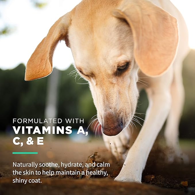 Wet Ones Multi-Purpose Pets Wipes - 300ct Total Dog Wipes with Vitamins A, C + E - Fragrance-Free, Wet Lock Seal