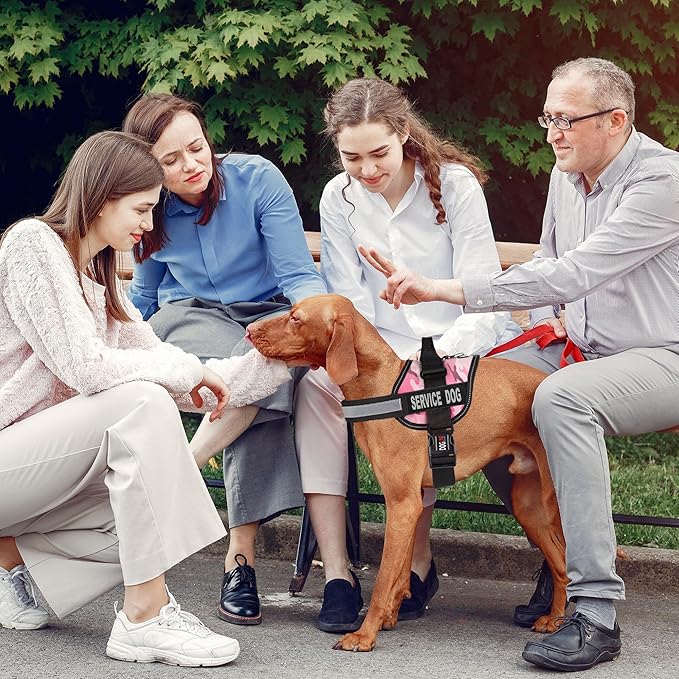 Dogline Unimax Service Dog Harness Vest with Removable Service Dog Patches Adjustable Straps Breathable Neoprene for Medical Identification Training Dogs Girth 36 to 46 in Pink Camo