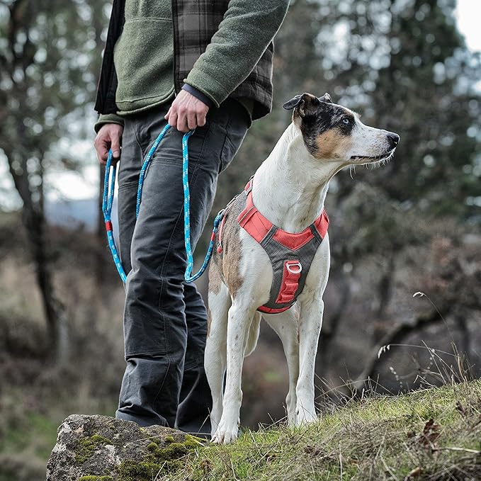 Kurgo Journey Air Dog Harness, Vest Harnesses for Dogs, Pet Hiking Harness for Running & Walking, Reflective, Padded, Includes Control Handle, No Pull Front Clip (Coral, Medium)
