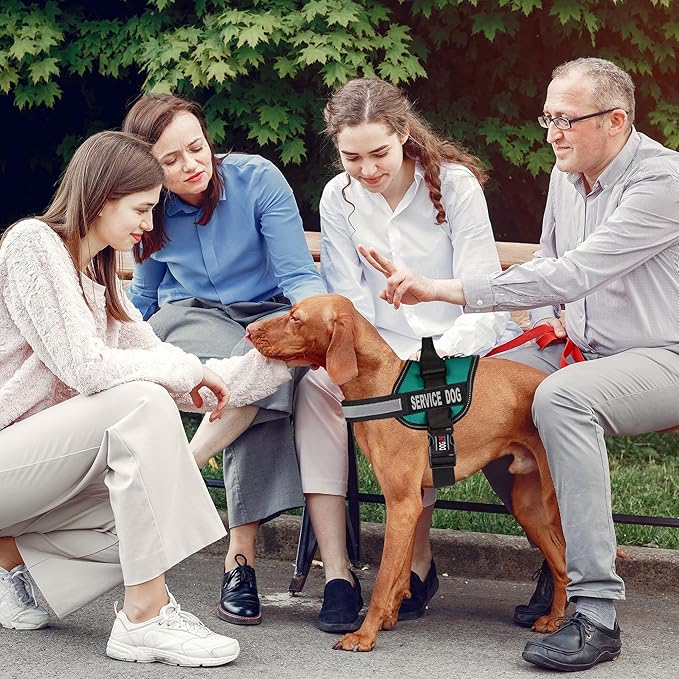 Dogline Unimax Service Dog Harness Vest with Removable Service Dog Patches Adjustable Straps Breathable Neoprene for Medical Identification Training Dogs Girth 36 to 46 in Turquoise