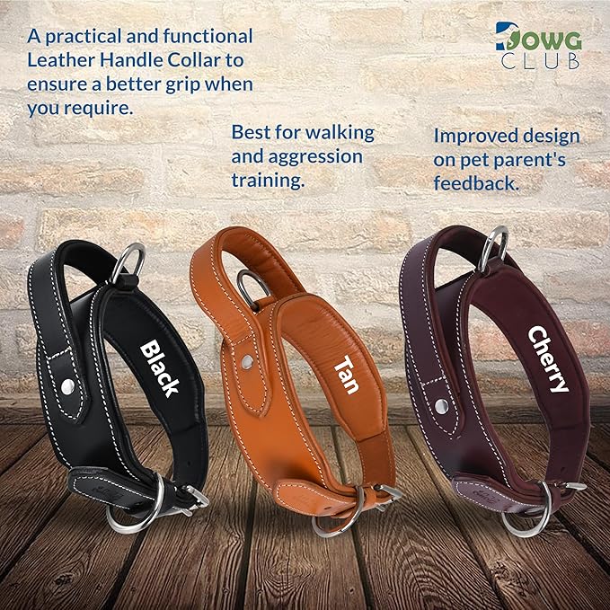 Leather Dog Collar with Handle, 2 Inch Wide Saddle Grade Black Leather Dog Collar for Large Dogs | Heavy Duty, Comfortable, Inner Soft Padded, Strong | (L (Fit Neck Size 18.5"-22.5"), Black)