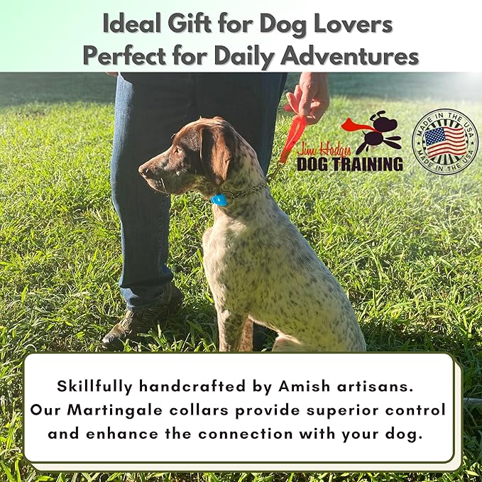 Martingale Collar for Dogs, Biothane, Stainless Steel Hardware, No Pull, Made in The USA, Professional Grade, Extra Large, Light Blue