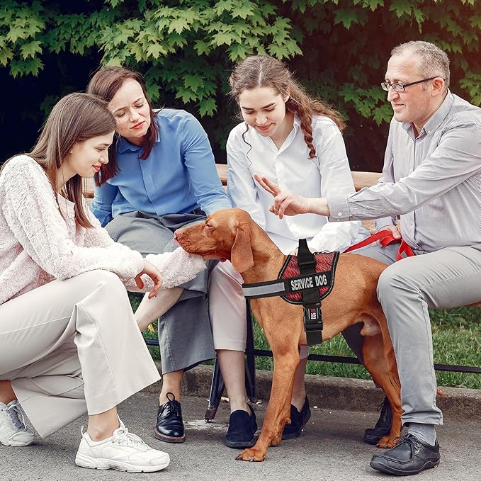 Dogline Unimax Dog Harness Vest with Service Dog Patches Reflective No-Pull, Adjustable Straps, Breathable Neoprene for Medical, Service, Identification and Training Dogs Girth 36 to 46" Zebra Red