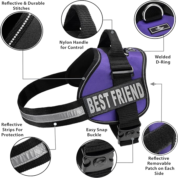 Doggie Stylz No Pull Dog Harness for Small, Medium, Large Dogs - Fully Adjustable - Reflective Best Friend Patches with Handle - No Choke Design - Dog Collars, Harnesses & Leashes - Pet Vest