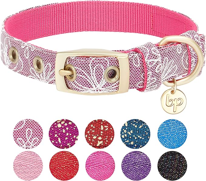 Blueberry Pet 4 Colors Glam Life Lace Floral Stamping Adjustable Dog Collar in Iconic Pink, Neck 9-12.5", for Small Breed