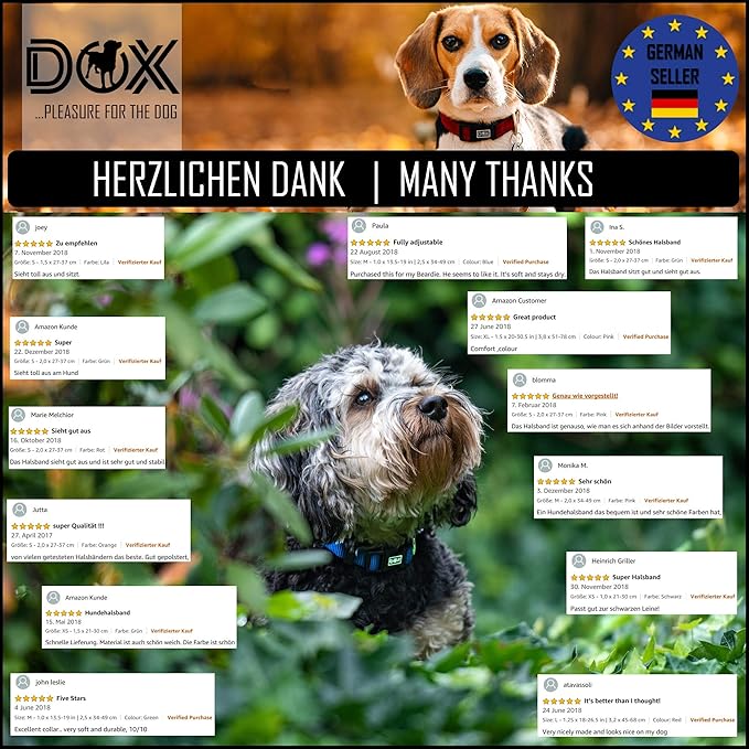 DDOXX Reflective Nylon Dog Collar - Strong and Adjustable Collars Dogs - M (Pink)