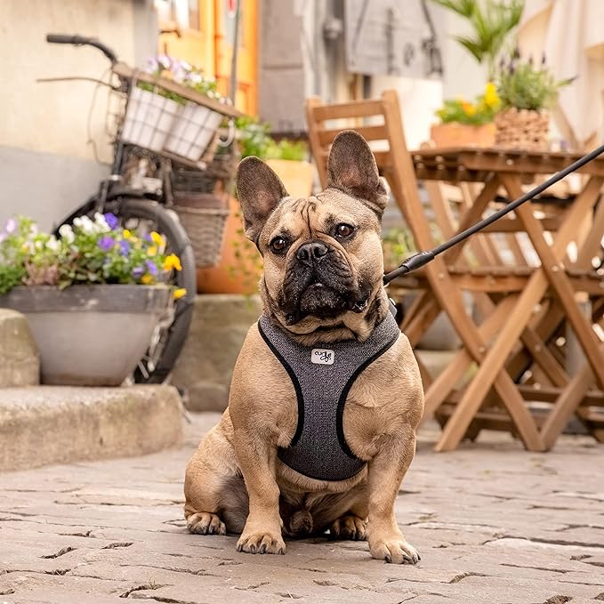 Vest Harness Merino curli Clasp Black XS