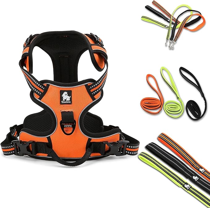Reflective Nylon No-Pull Dog Harness and Training Leash Set Padded Durable Adjustable(XL, Orange Set)