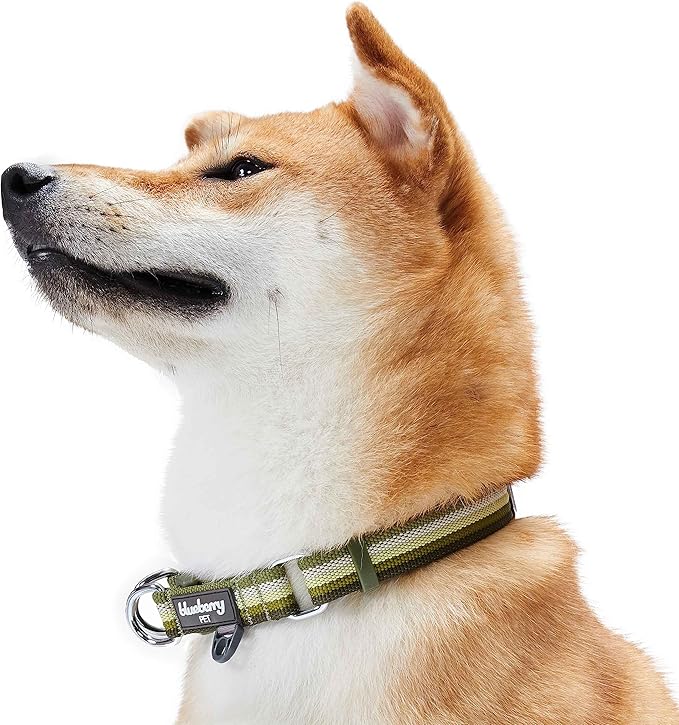 Blueberry Pet 3M Reflective Dog Collars | Adjustable Dog Collar w/Multi-Colored Stripe - Olive | Nylon Pet Collars for Dogs & Refflective Dog Collar for X-Large Dogs