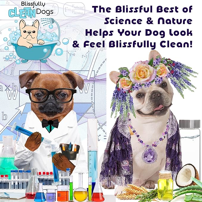 The Blissful Dog Flawless Finish Dog Conditioner, 16-Ounce