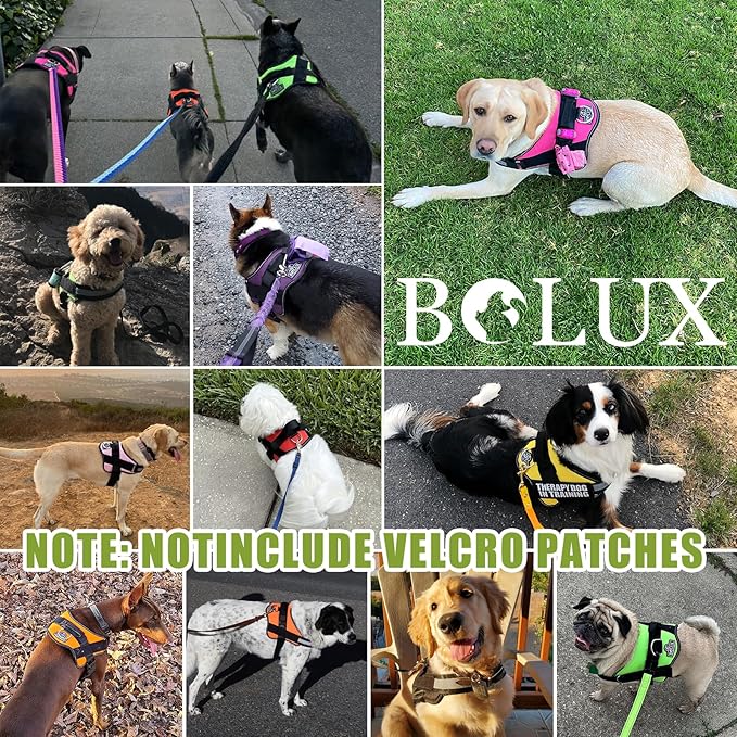 Bolux Dog Harness, No-Pull Reflective Dog Vest, Breathable Adjustable Pet Harness with Handle for Outdoor Walking - No More Pulling, Tugging or Choking (XX-Large (Pack of 1), GreenYellow)