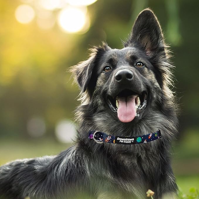Downtown Pet Supply - Best, Cute & Fancy Dog Collar - Lightweight Adjustable Dog Collar with Quick Buckle & D-Ring - Hand Wash Safe - Space - L - Large Dog Collar