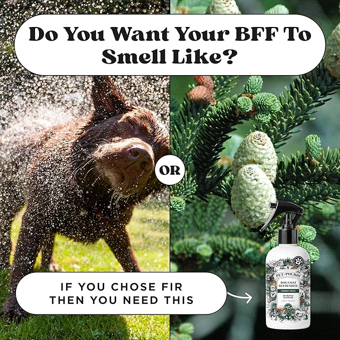 Pet-Pourri Dog Coat Deodorizing Spray – Plant Derived Ingredients – Vet Recommended – Fir + Amber + Cedarwood – Paraben & Sulfate-Free - Grooming perfume Spray for Dog Odor