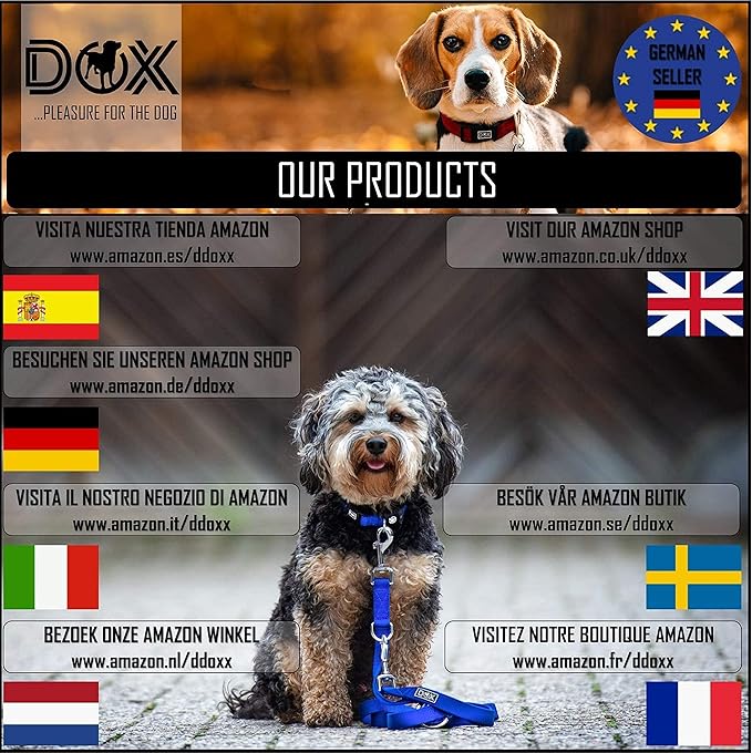 DDOXX Reflective Nylon Dog Collar - Strong and Adjustable Collars Dogs - L (Bue)