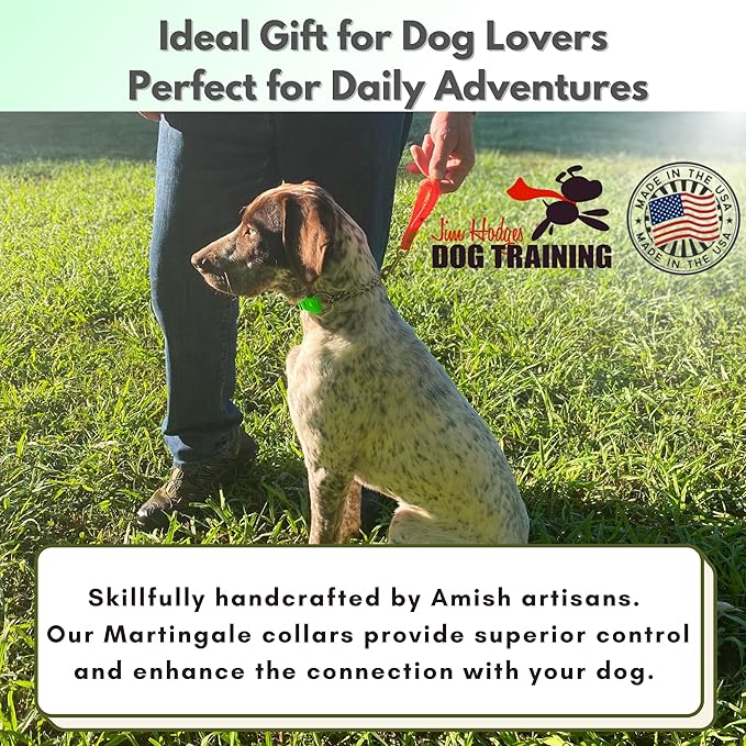 Martingale Collar for Dogs, Biothane, Stainless Steel Hardware, No Pull, Made in The USA, Professional Grade, XL, Green