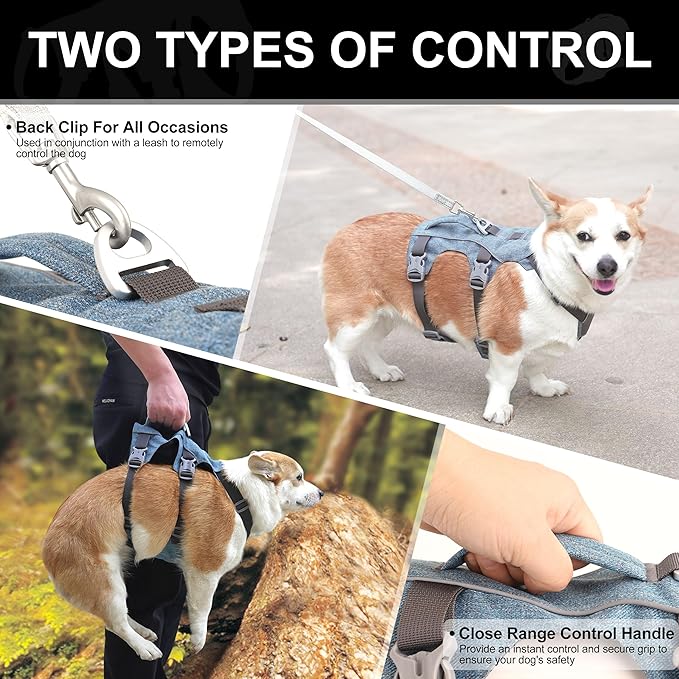 Dog Harness Medium Sized Dog Escape Proof Dog Harness with Handle, Reflective Dog Vest, Breathable Soft Full Body Pet Harness for Walking, Training (Blue, M)
