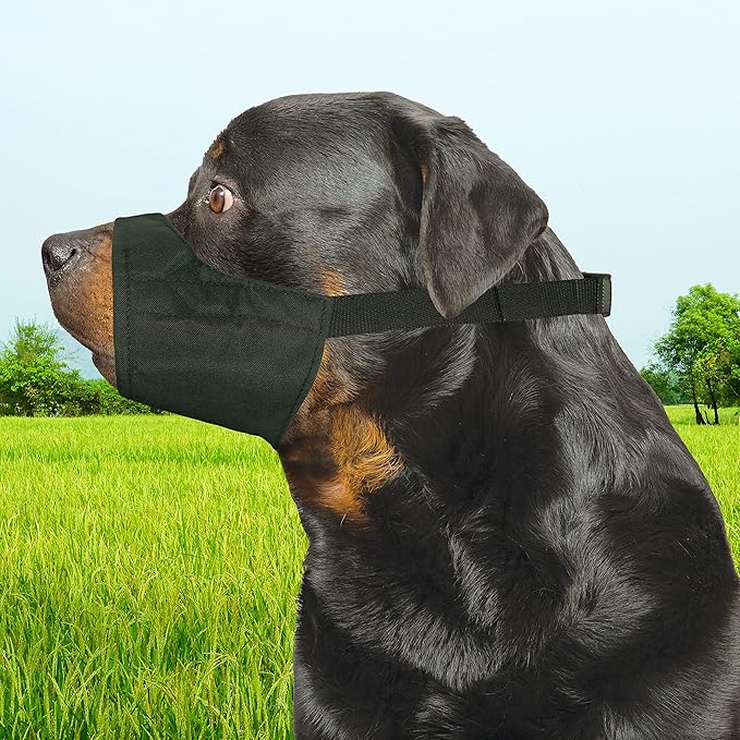 Four Paws Walk-About Quick-Fit Dog Muzzle 4 - Large