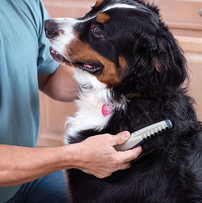 Allstar Innovations Knot Out Electric Pet Grooming Comb - Remove Knots and Tangles