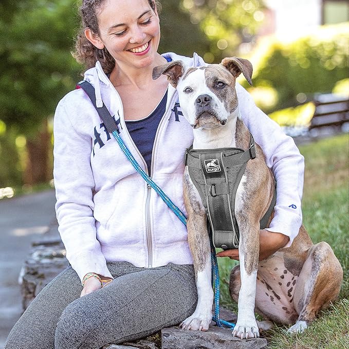 Kurgo Tru-Fit Smart Harness, Dog Harness, Pet Walking Harness, Quick Release Buckles, Front D-Ring for No Pull Training, Includes Dog Seat Belt Tether (Grey, Medium)